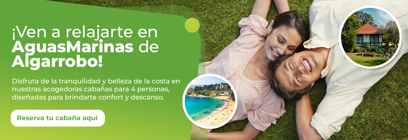 Campaña 2